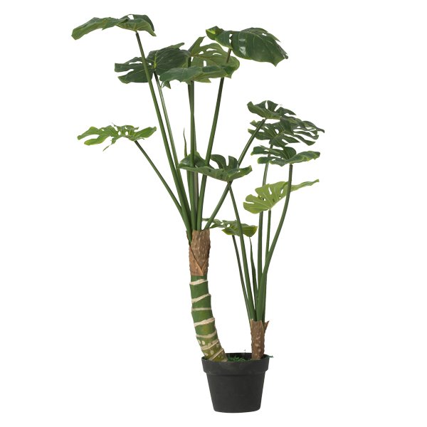 Bahne Interior plante monstera i potte - 100 cm. - Bahne